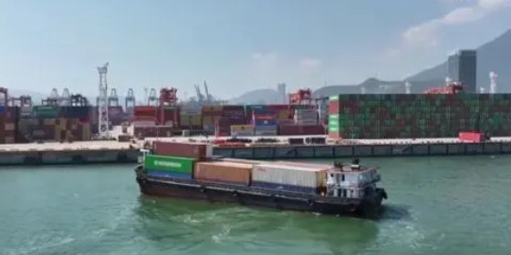 国内海运，内贸集装箱海运收费全解析！